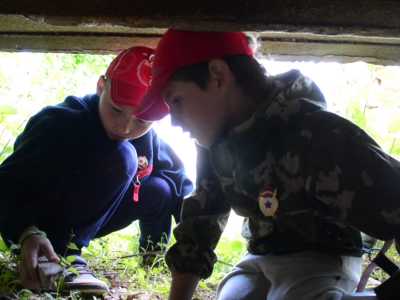 Фотографии с фестиваля «Дорога памяти» – 2015_thumb_44 (dorogapamyati.ru)