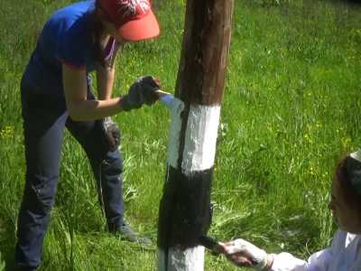 Фотографии с фестиваля «Дорога памяти» – 2015_thumb_48 (dorogapamyati.ru)