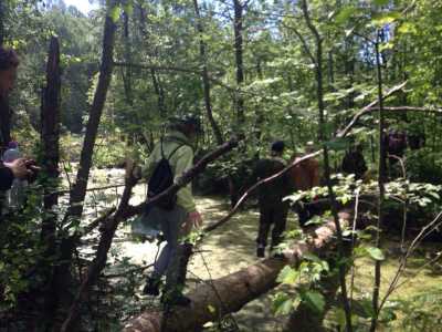 Фотографии с фестиваля «Дорога памяти» – 2015_thumb_30 (dorogapamyati.ru)